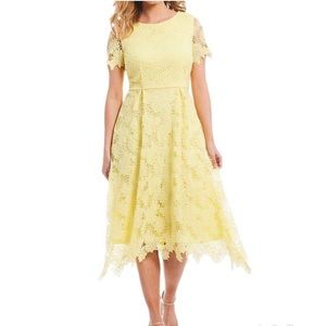 NWT Preston & York Regina Yellow lace midi dress